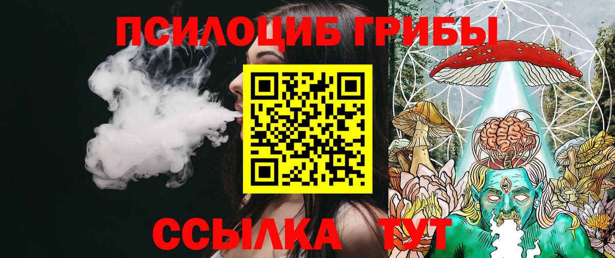 Галлюциногенные грибы Psilocybine cubensis Сорочинск