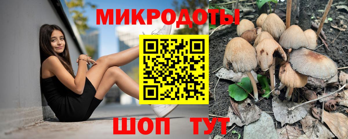 Псилоцибиновые грибы Cubensis  Вход с VPN  Сорочинск  Псилоцибиновые грибы GOLDEN TEACHER 